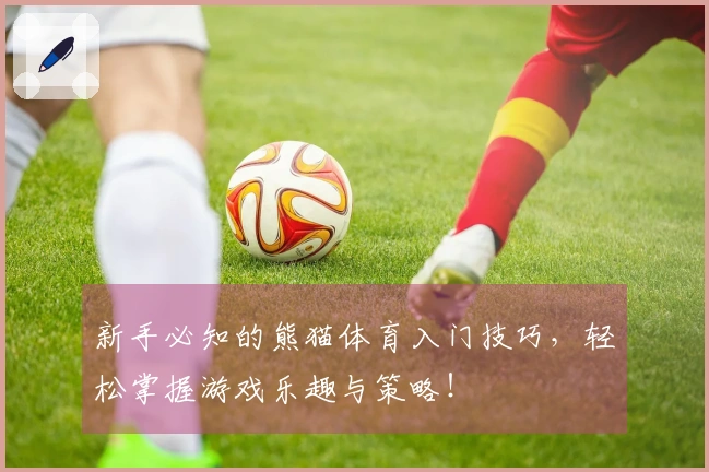 新手必知的熊猫体育入门技巧，轻松掌握游戏乐趣与策略！