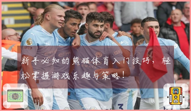 新手必知的熊猫体育入门技巧，轻松掌握游戏乐趣与策略！